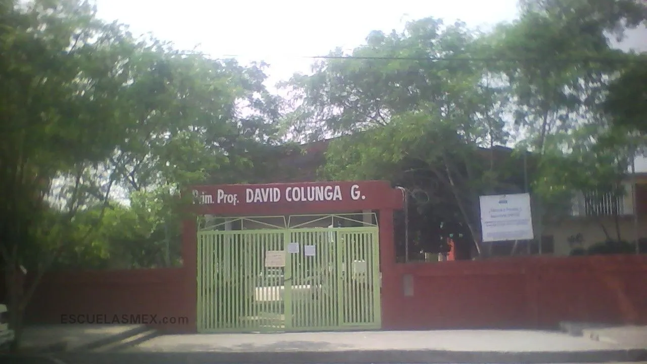 Profr. David Colunga Galicia Entrada