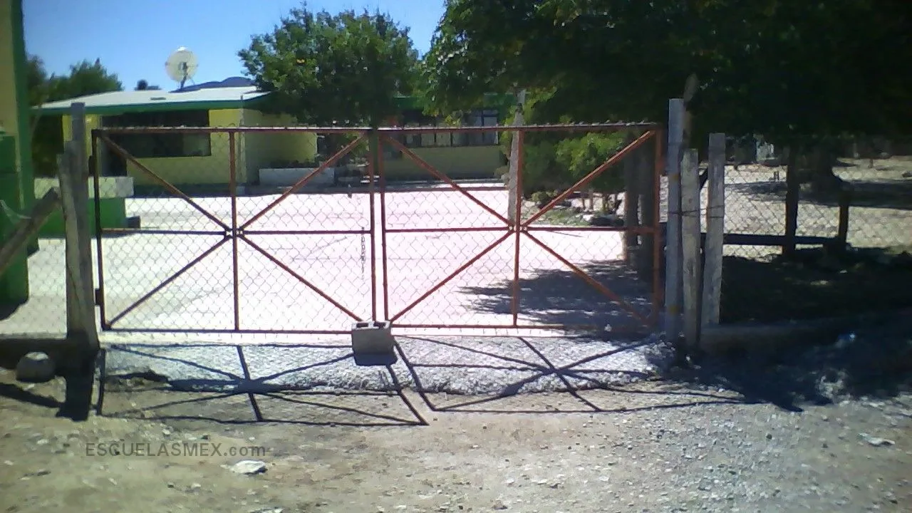 Damian Carmona Entrada