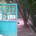 Niños Heroes