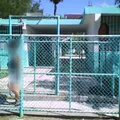 Tte. Coronel Dario Garza Cantu