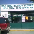 Ricardo Flores Magon