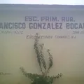 Francisco Gonzalez Bocanegra
