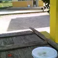 Salvador Diaz Miron