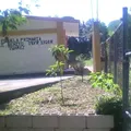 Lic. Benito Juarez