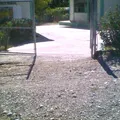Francisco Goitia