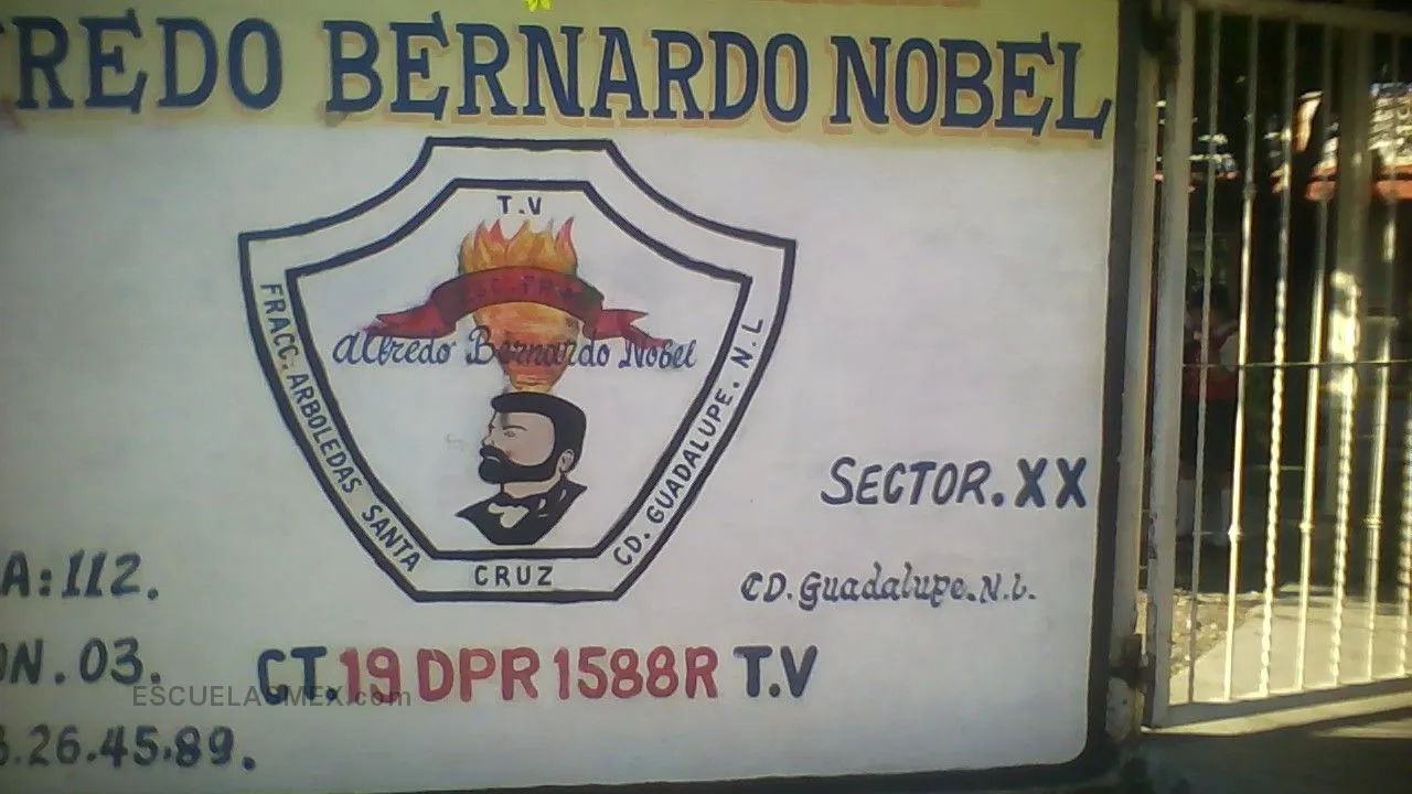 Alfredo Bernardo Nobel Entrada