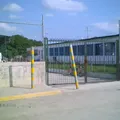 Profr. J. Guadalupe Carmona Sias
