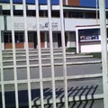 Carlos Pellicer Camara