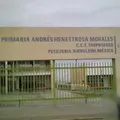 Andres Henestrosa Morales