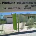 Ernesto Palacios Treviño