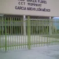 Virgilio Garza Flores