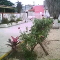 Secundaria Tecnica Num. 41 Profr. Jose Juan Villarreal Villarreal