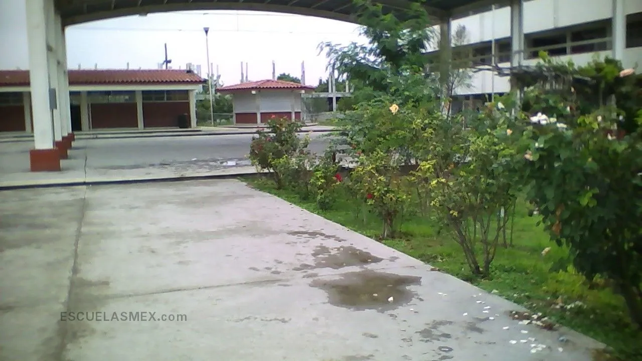 Secundaria Tecnica Num. 87 Mariano Arista Entrada