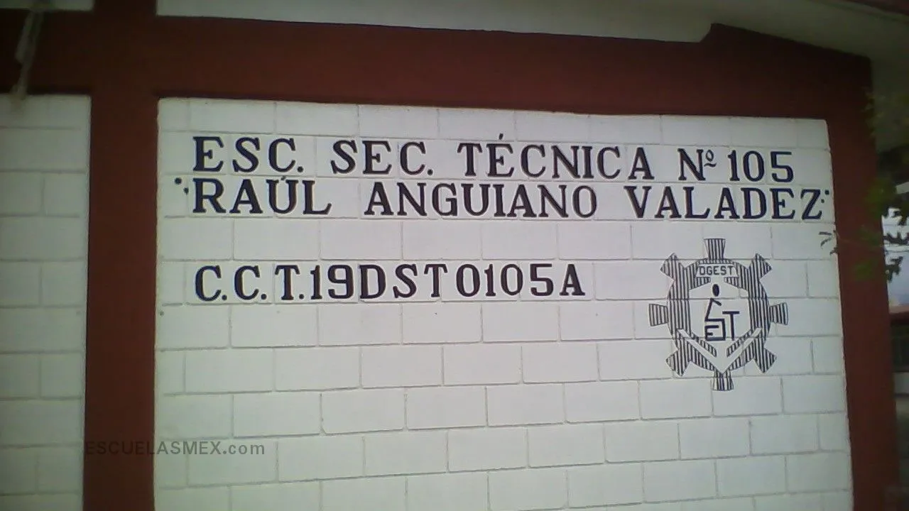 Secundaria Tecnica Num. 105 Raul Anguiano Valadez Entrada