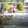 Secundaria Num. 3 Profr. Pedro J. Hurtado