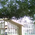 Secundaria Num. 5 Federico Cantu