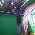 Dif Num. 10 Dr. Pedro Noriega
