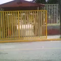 Revolucion Club de Leones Num. 8