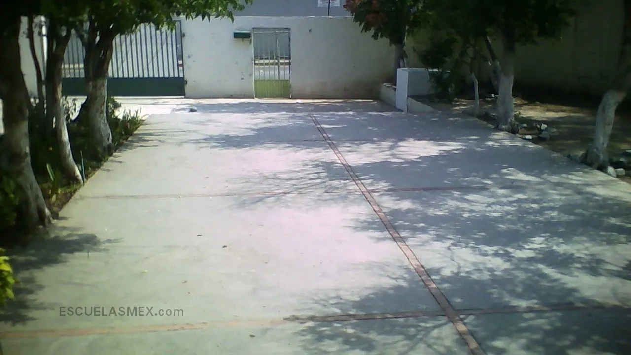 Profr. Alfredo Solis Elizondo Entrada