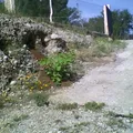 Gral. Bernardo Reyes