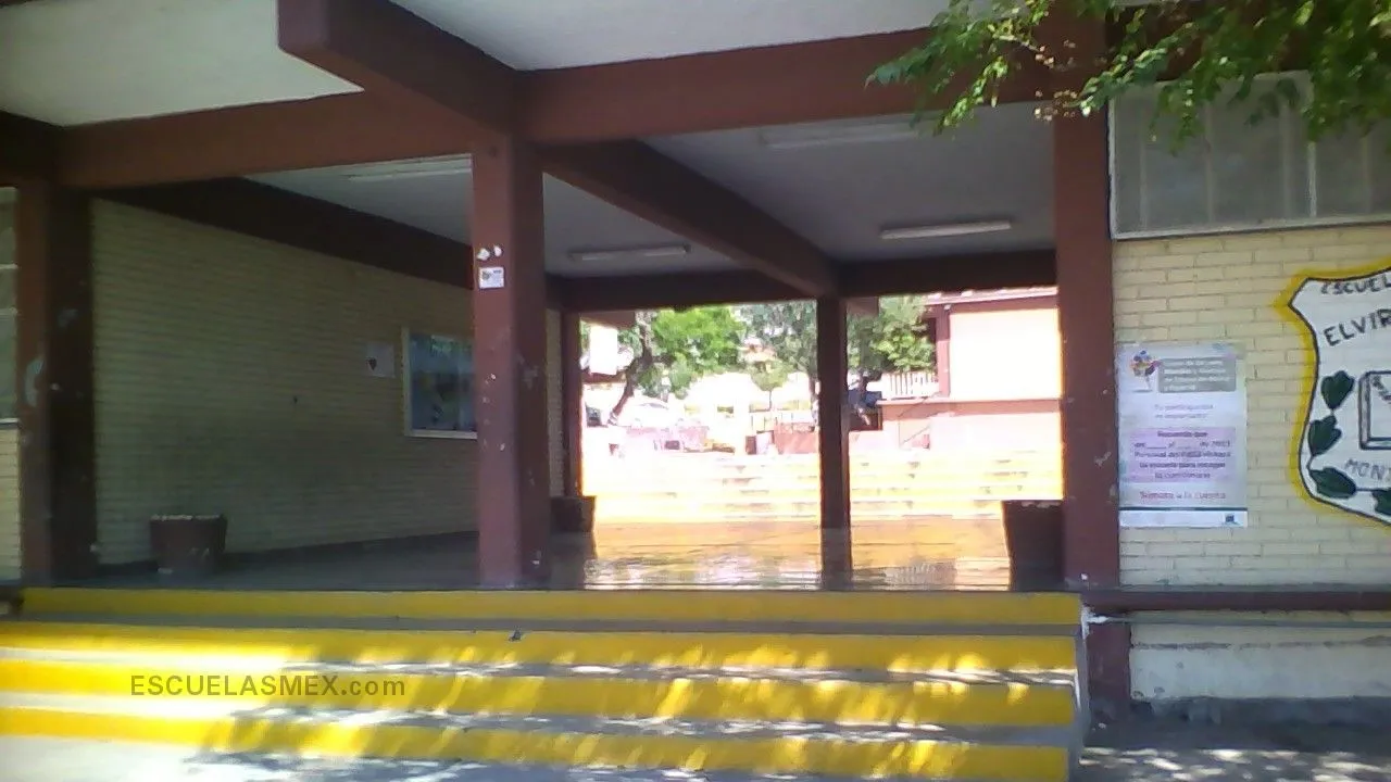 Profr. Nieves Alberto Hernandez Entrada