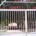 Lic. Ignacio L. Vallarta