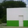 Lic. Raul Salinas Lozano