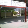 Leonor Flores