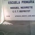 Miguel Negrete