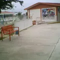 Juan Soriano