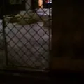 Secundaria Nocturna Profra. Josefa Fraustro Sanchez