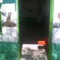 Preescolar Comunitario