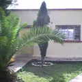 Preescolar Comunitario
