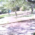 Secundaria Comunitaria