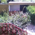 "colegio Montessori de Monterrey, A.c."