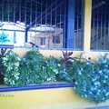 Instituto Montessori San Angel