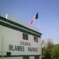 "colegio Irlandes Anahuac, A.c."
