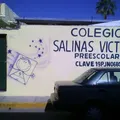 Colegio Salinas Victoria