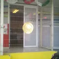 Instituto Tanezi