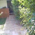 "colegio Montessori de Monterrey, A.c."
