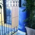 Instituto Montessori San Angel
