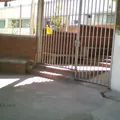 Instituto Nezaldi
