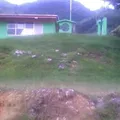 Malinche