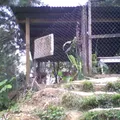 Moises Saenz