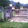 Jose Vasconcelos