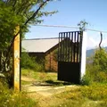 Liberacion Indigena