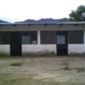 Genaro Vasquez