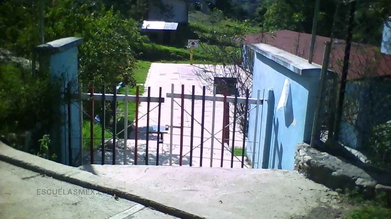 Juan Amos Comenio Entrada
