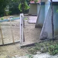 Raza de Bronce