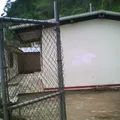 Lazaro Cardenas